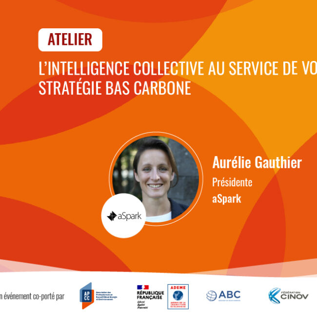 aSpark intervient au Sommet Virtuel du Climat