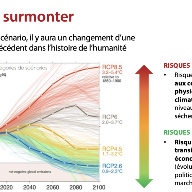 Webinaire COMATCH "Dérèglement Climatique et décarbonation : vers un alignement des planètes ?"